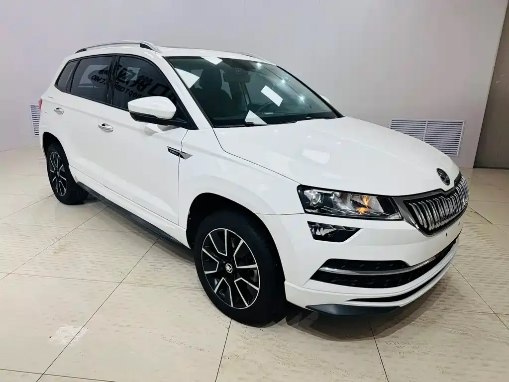 Skoda Karoq 2022 из CN, фото 9