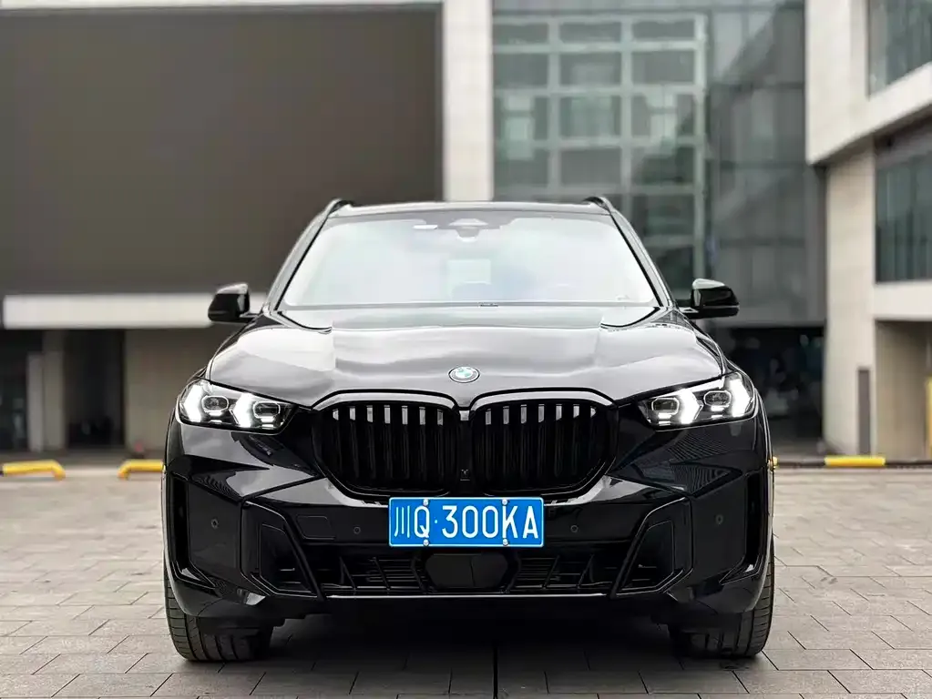 BMW X5 — фото 2