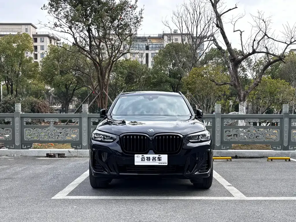 BMW X3 2023 из CN, фото 10