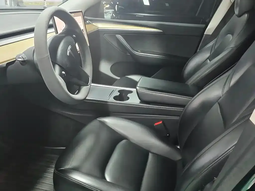 Tesla Model Y — фото 6