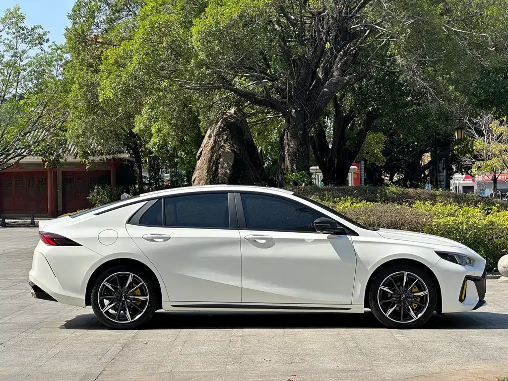 GAC Motor Shadow Leopard — фото 9