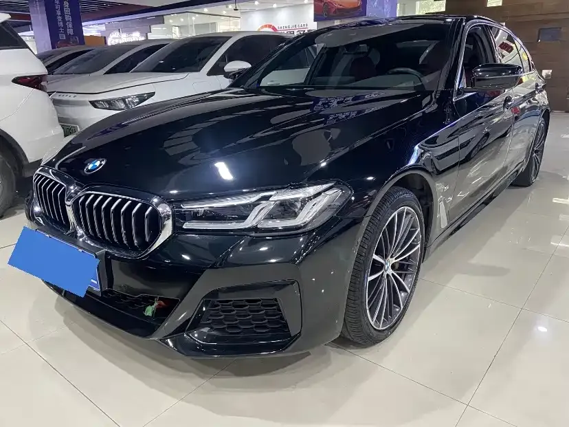 BMW 5 Series 2021 из CN, фото 1