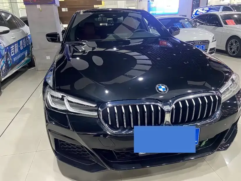 BMW 5 Series 2021 из CN, фото 5