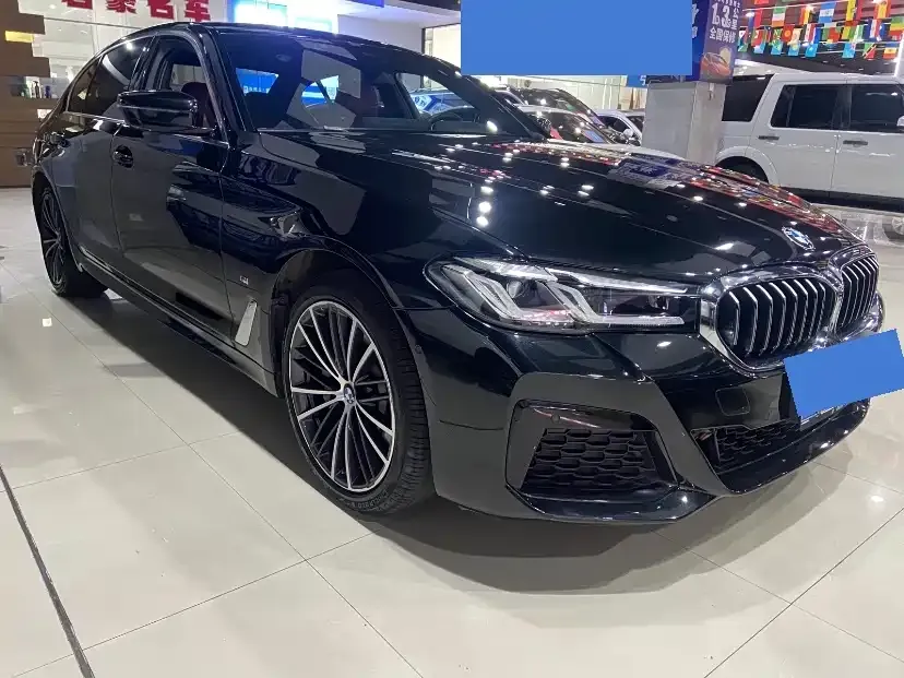 BMW 5 Series 2021 из CN, фото 7
