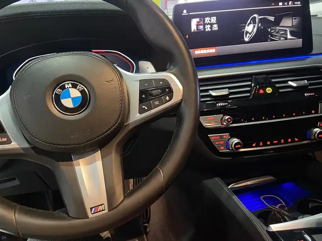 BMW 5 Series 2021 из CN, фото 8