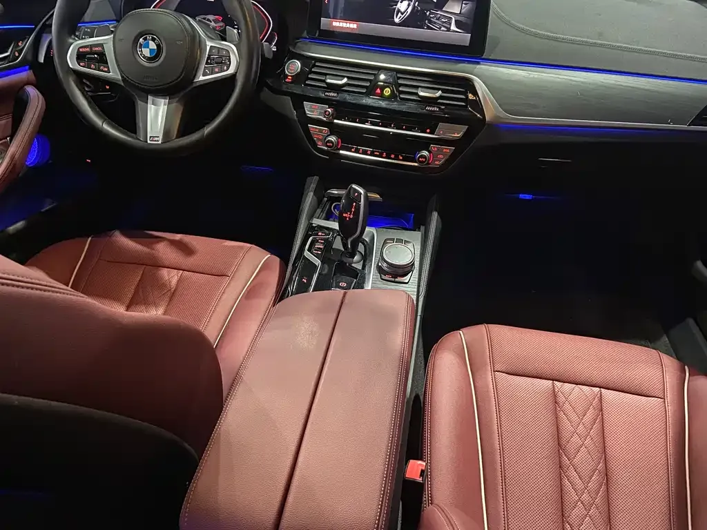 BMW 5 Series 2021 из CN, фото 10