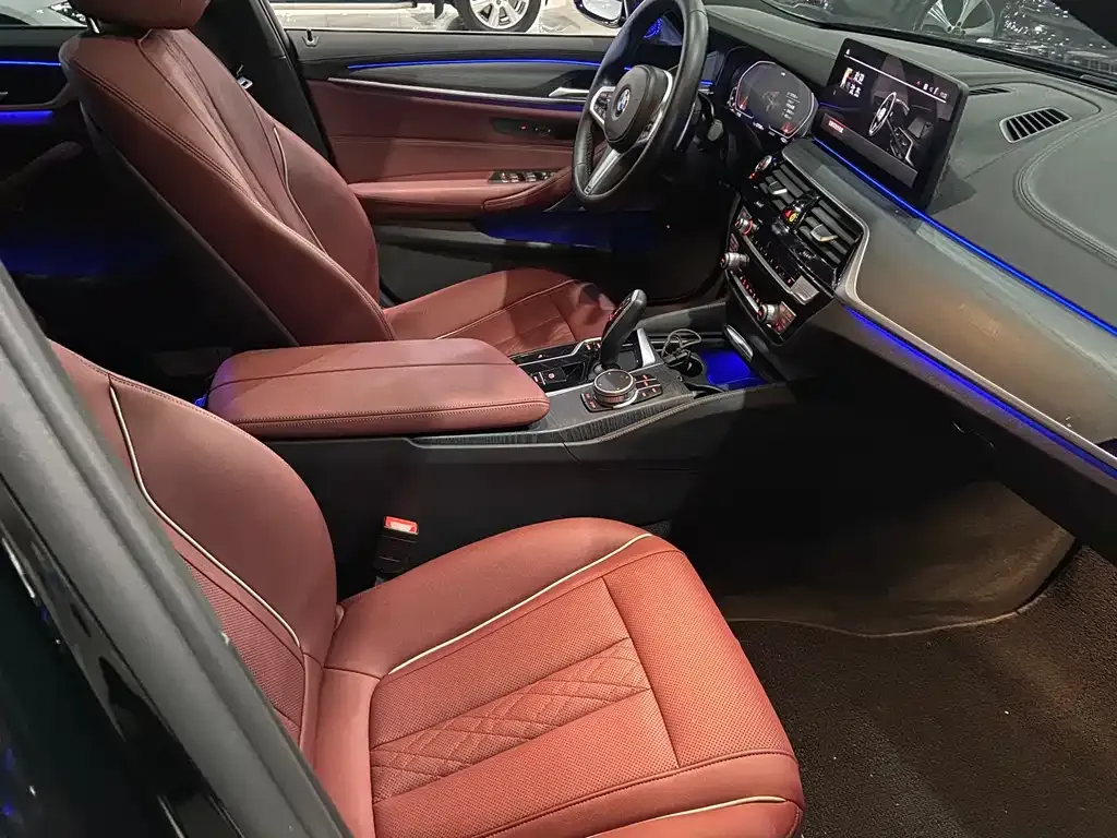 BMW 5 Series 2021 из CN, фото 4