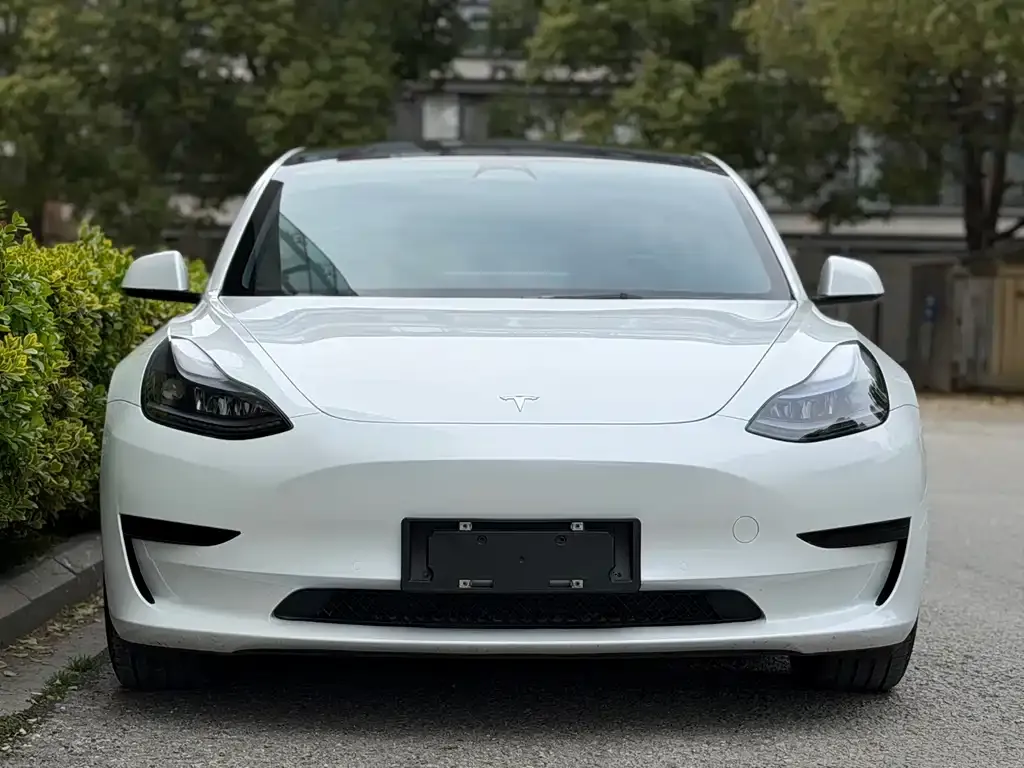 Tesla Model 3 — фото 3
