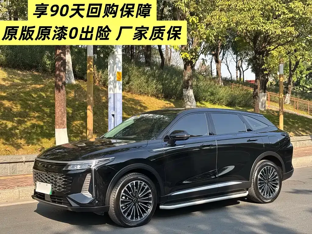 Exeed Yaoguang C-DM 2024 из CN, фото 9