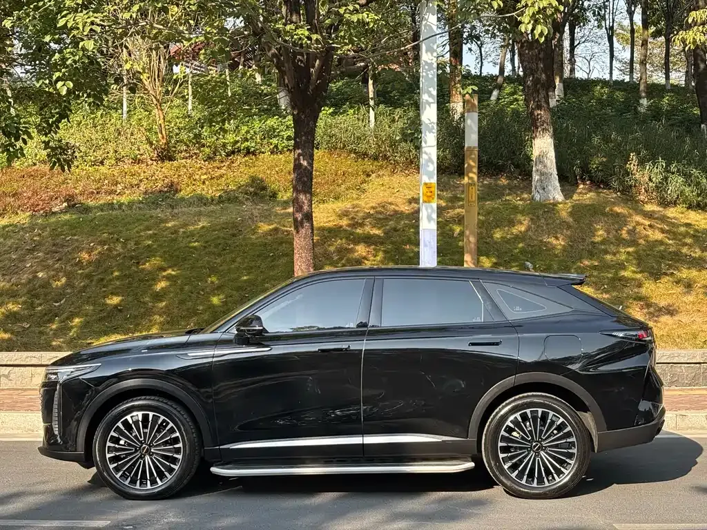 Exeed Yaoguang C-DM 2024 из CN, фото 10