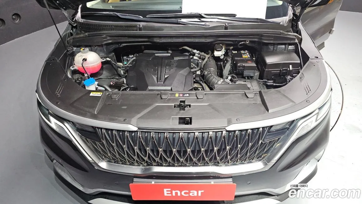 Kia Carnival — фото 10