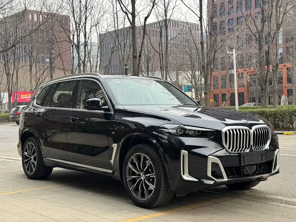 BMW X5 — фото 10