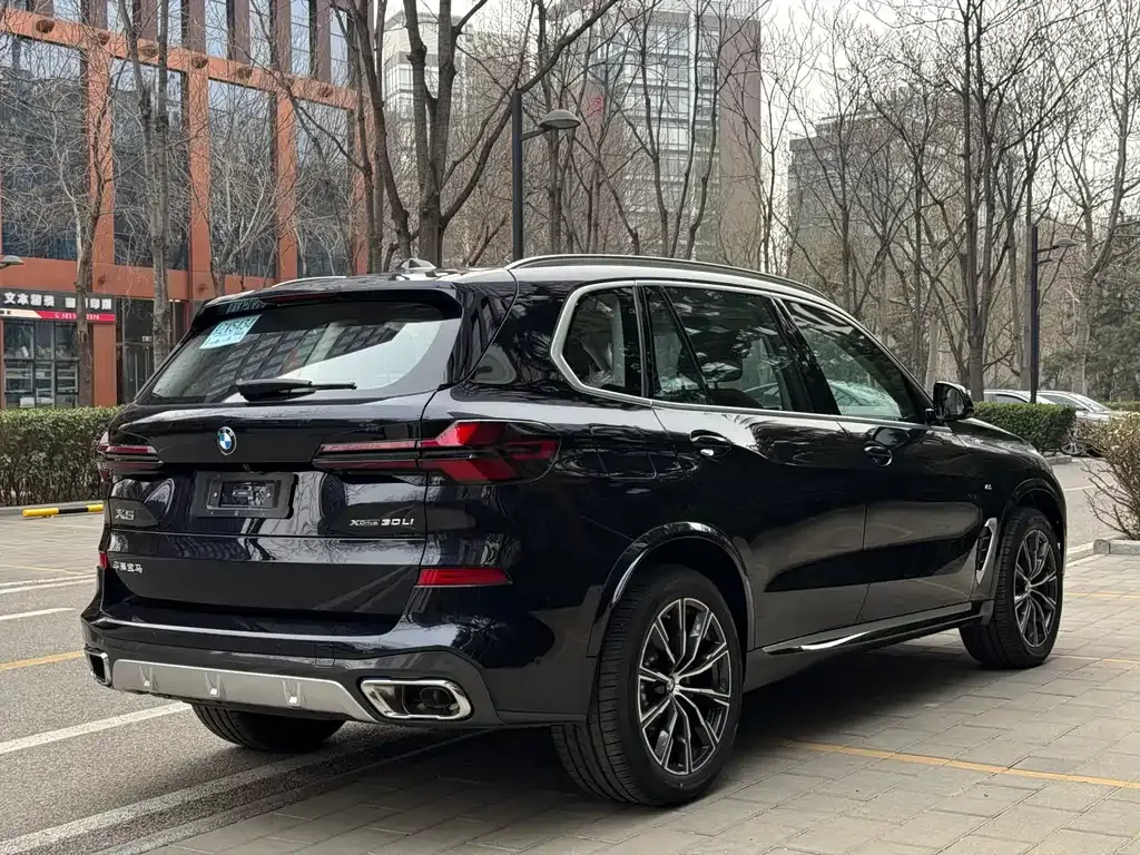 BMW X5 — фото 9