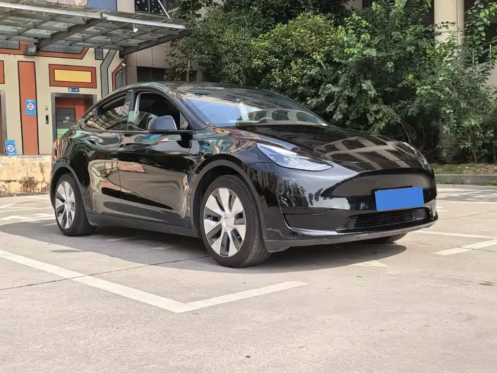 Tesla Model Y — фото 5