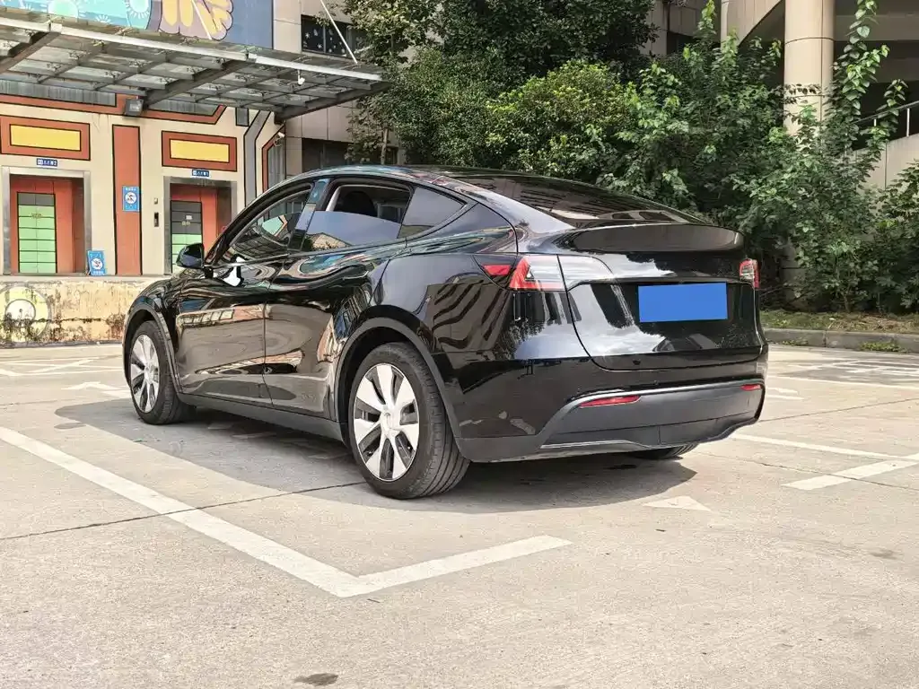 Tesla Model Y — фото 8