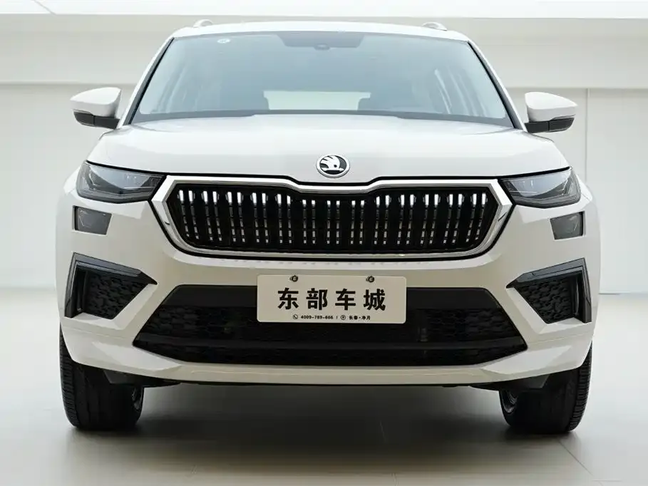 Skoda Kodiaq 2024 из CN, фото 7