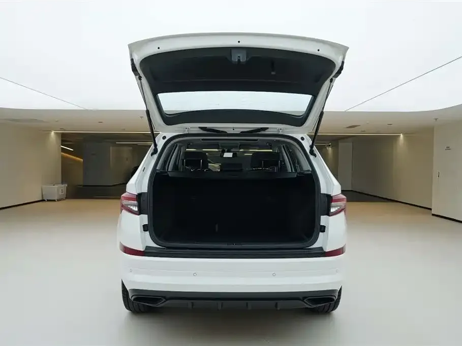 Skoda Kodiaq 2024 из CN, фото 5