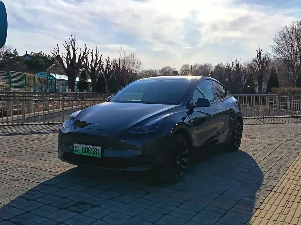 Tesla Model Y 2024 из CN, фото 1