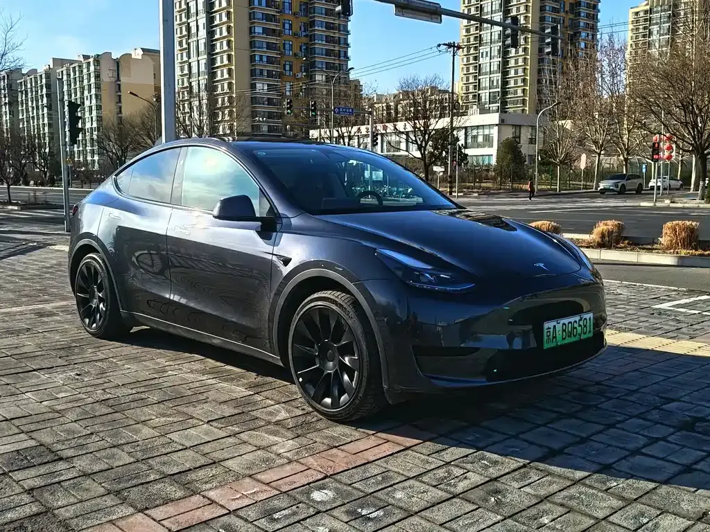 Tesla Model Y 2024 из CN, фото 5