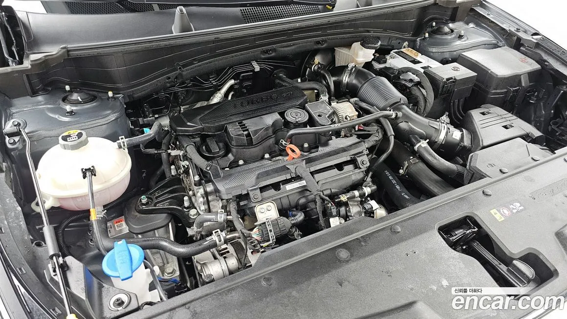 Kia Sportage — фото 4
