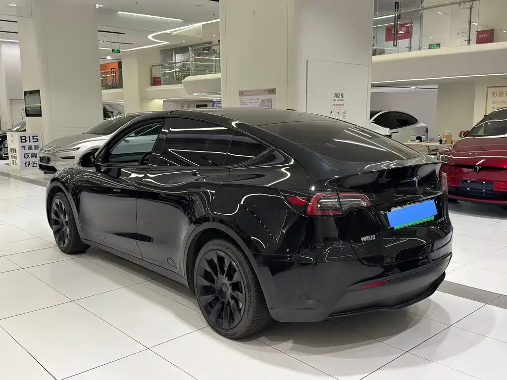 Tesla Model Y — фото 4