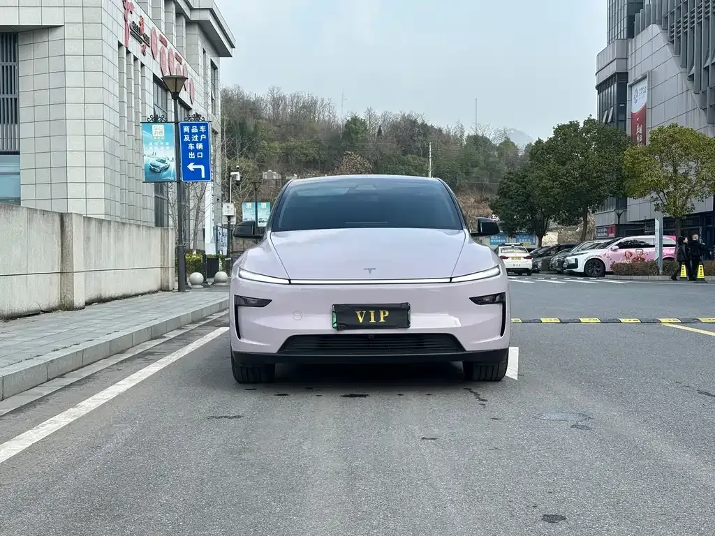 Tesla Model Y 2025 из CN, фото 1