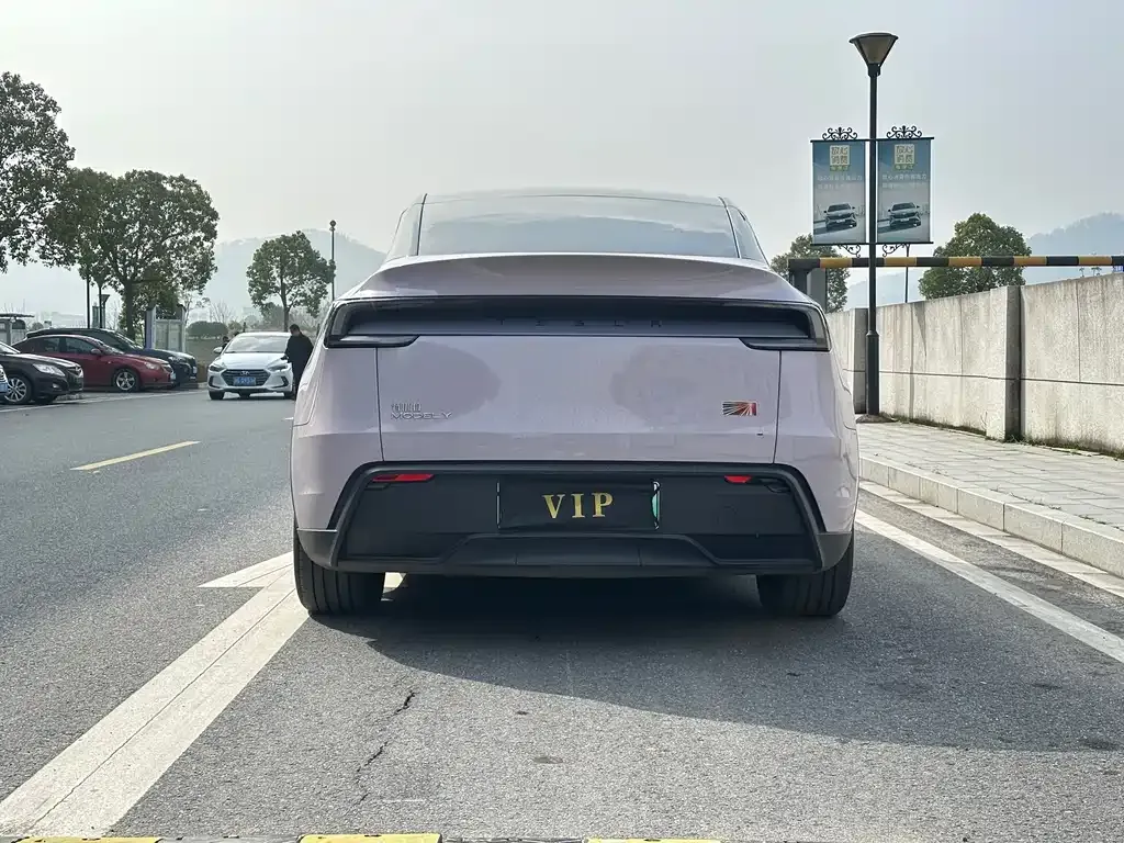 Tesla Model Y 2025 из CN, фото 5