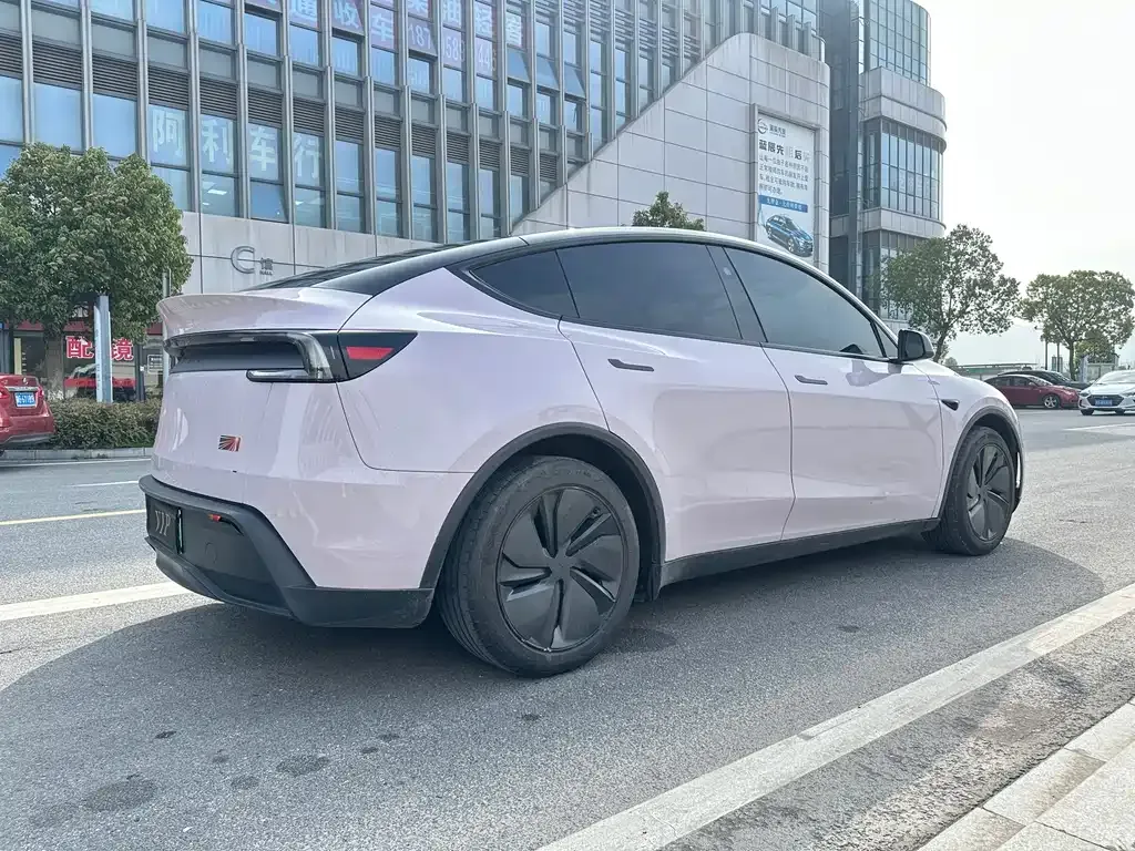 Tesla Model Y 2025 из CN, фото 9