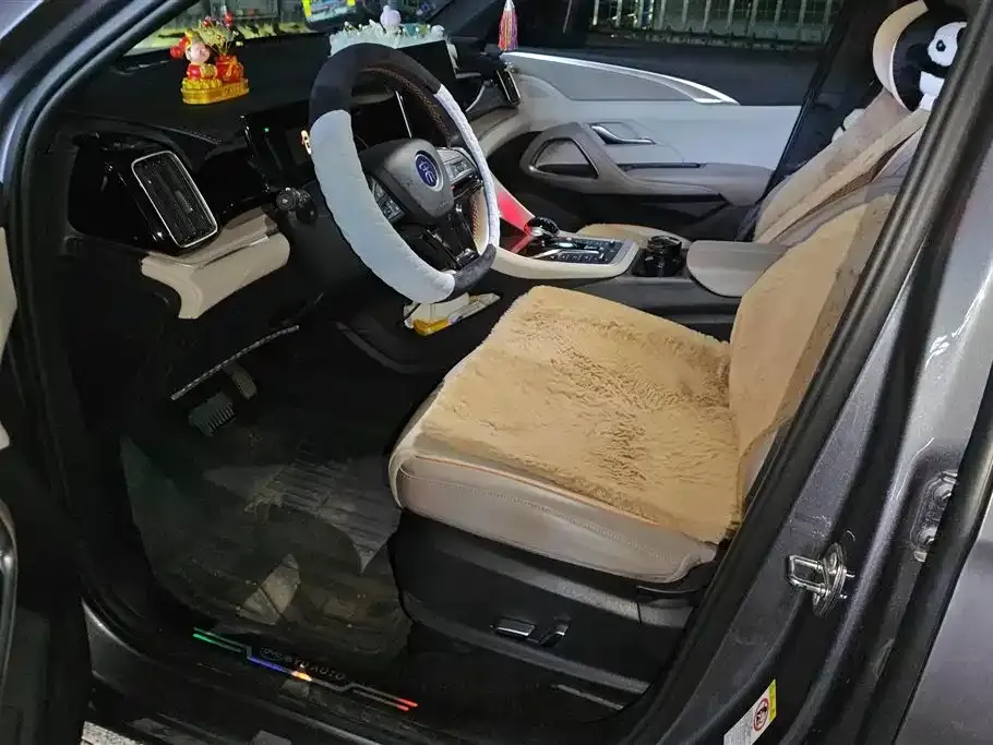 BYD Pro New Energy — фото 10
