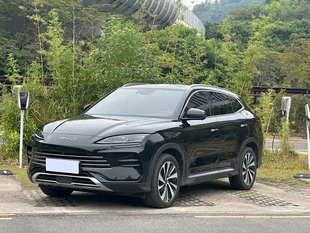 BYD PLUS New Energy 2024 из CN, фото 1