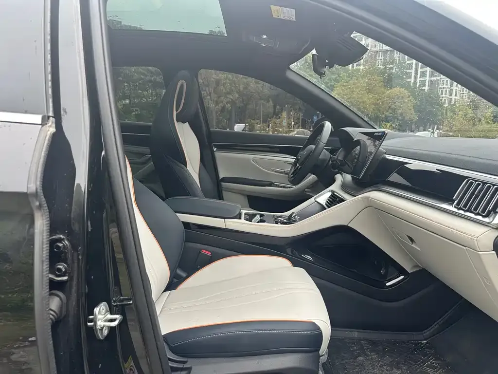 BYD PLUS New Energy 2024 из CN, фото 8