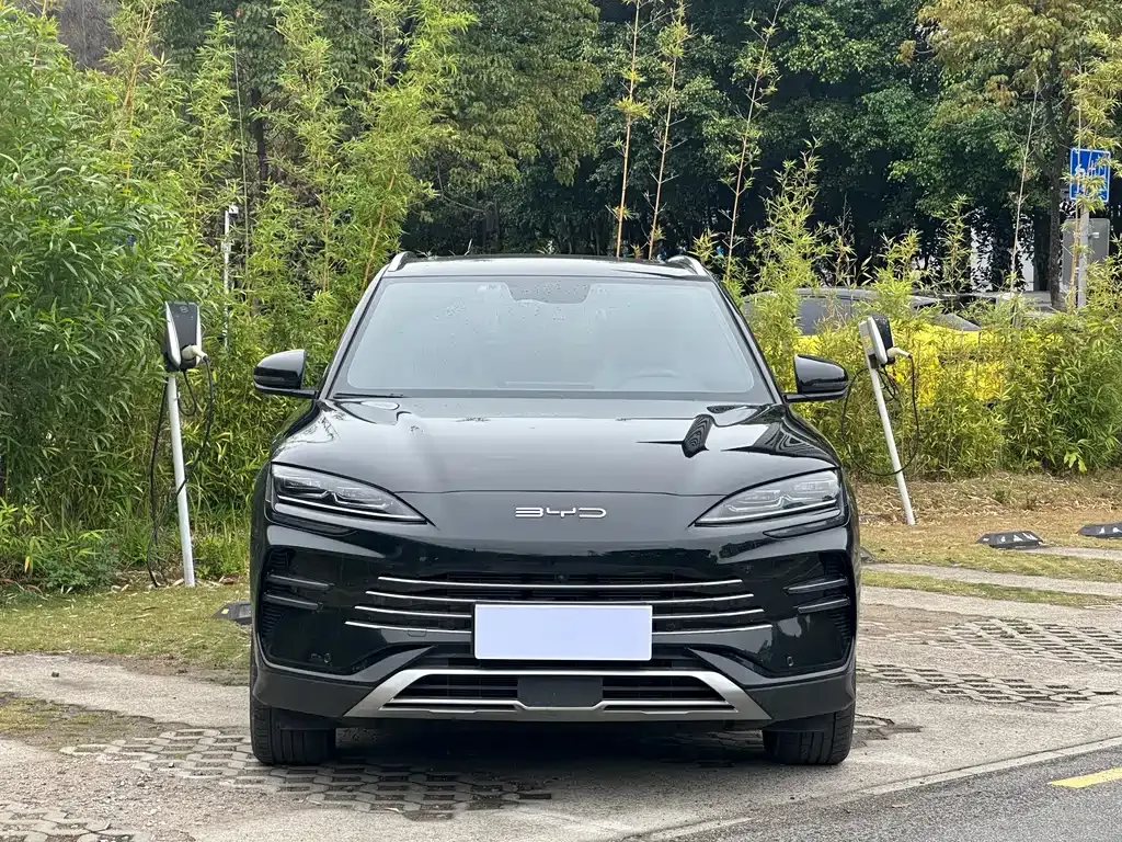 BYD PLUS New Energy 2024 из CN, фото 10