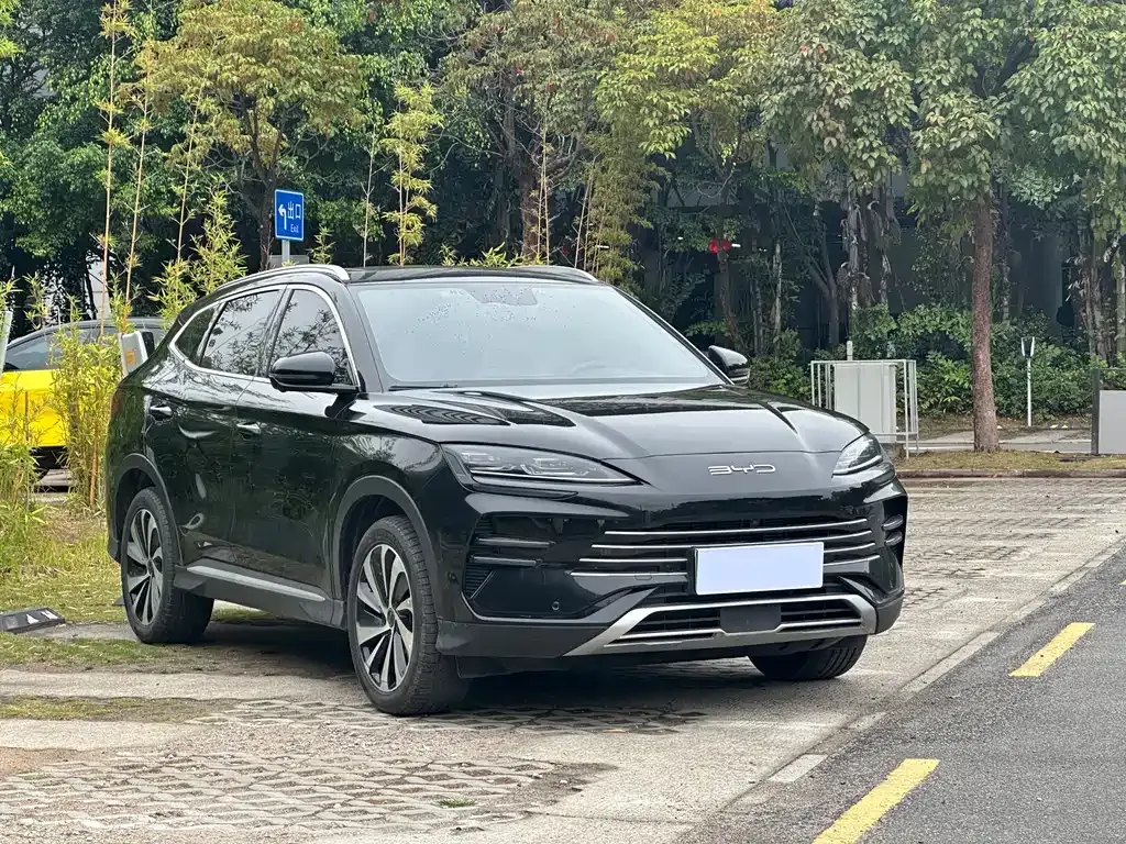 BYD PLUS New Energy 2024 из CN, фото 3