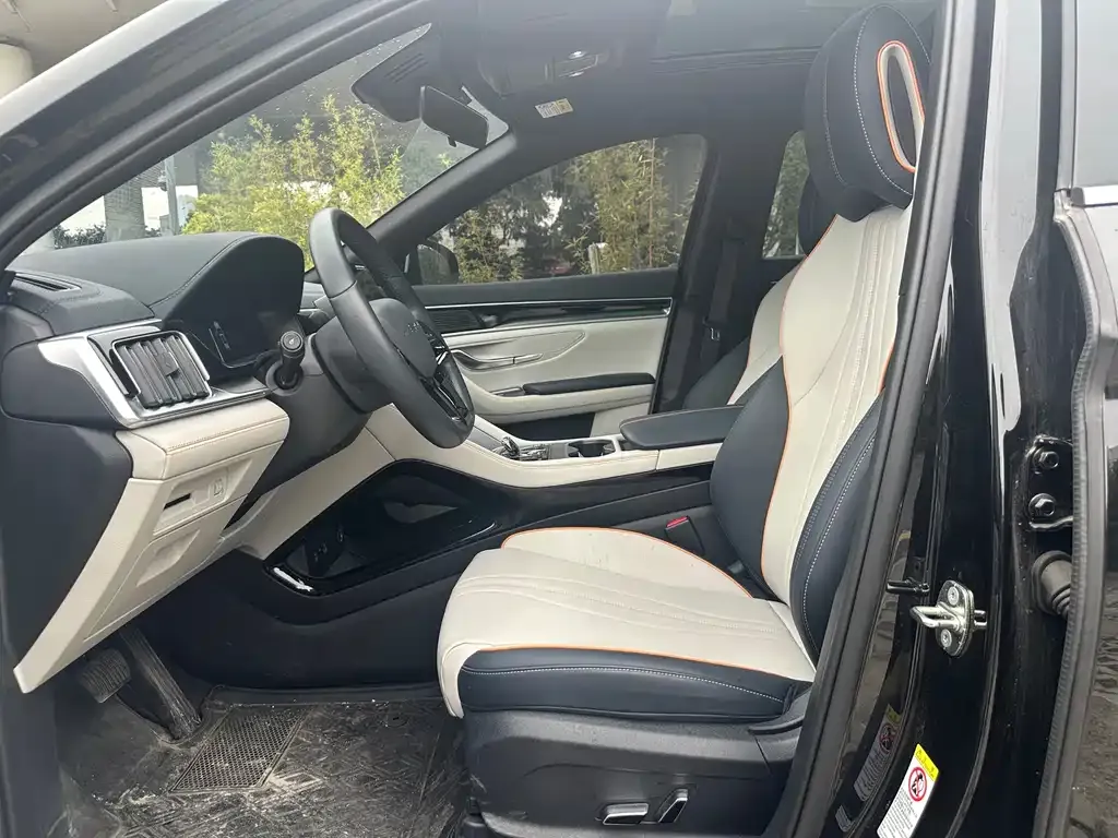 BYD PLUS New Energy 2024 из CN, фото 5