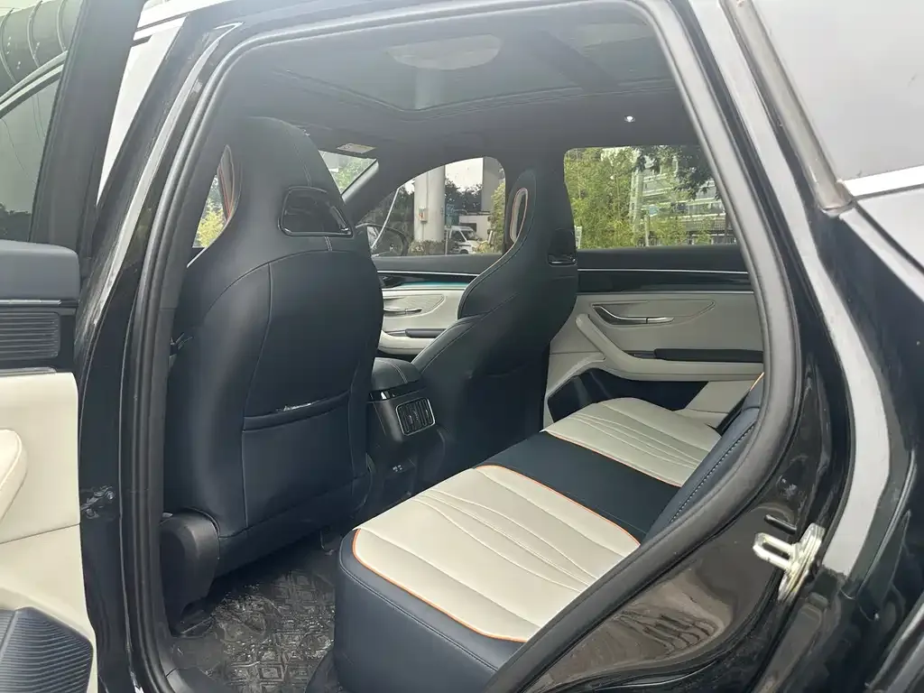 BYD PLUS New Energy 2024 из CN, фото 9