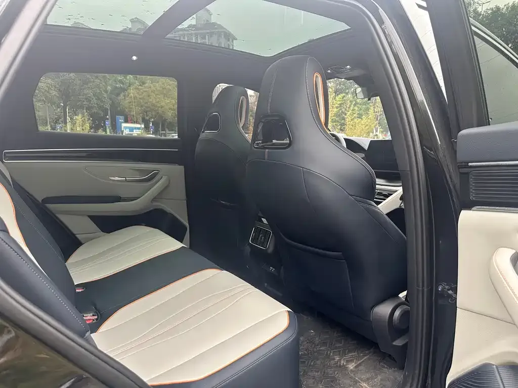 BYD PLUS New Energy 2024 из CN, фото 2