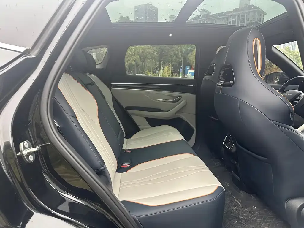 BYD PLUS New Energy 2024 из CN, фото 4