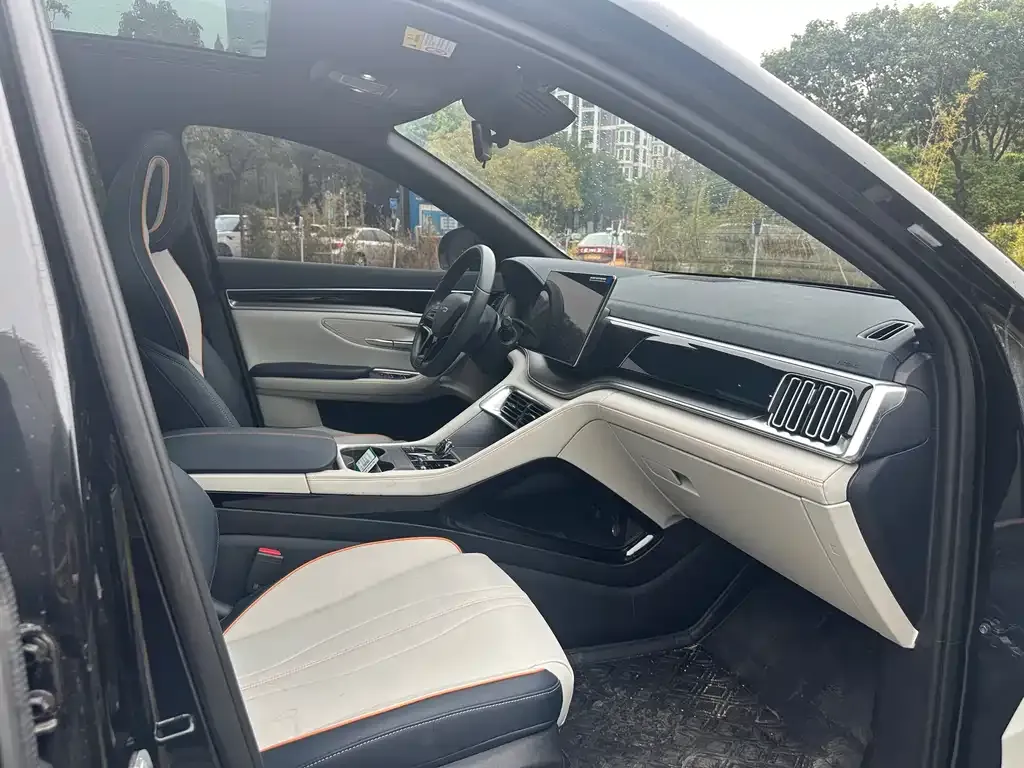 BYD PLUS New Energy 2024 из CN, фото 7
