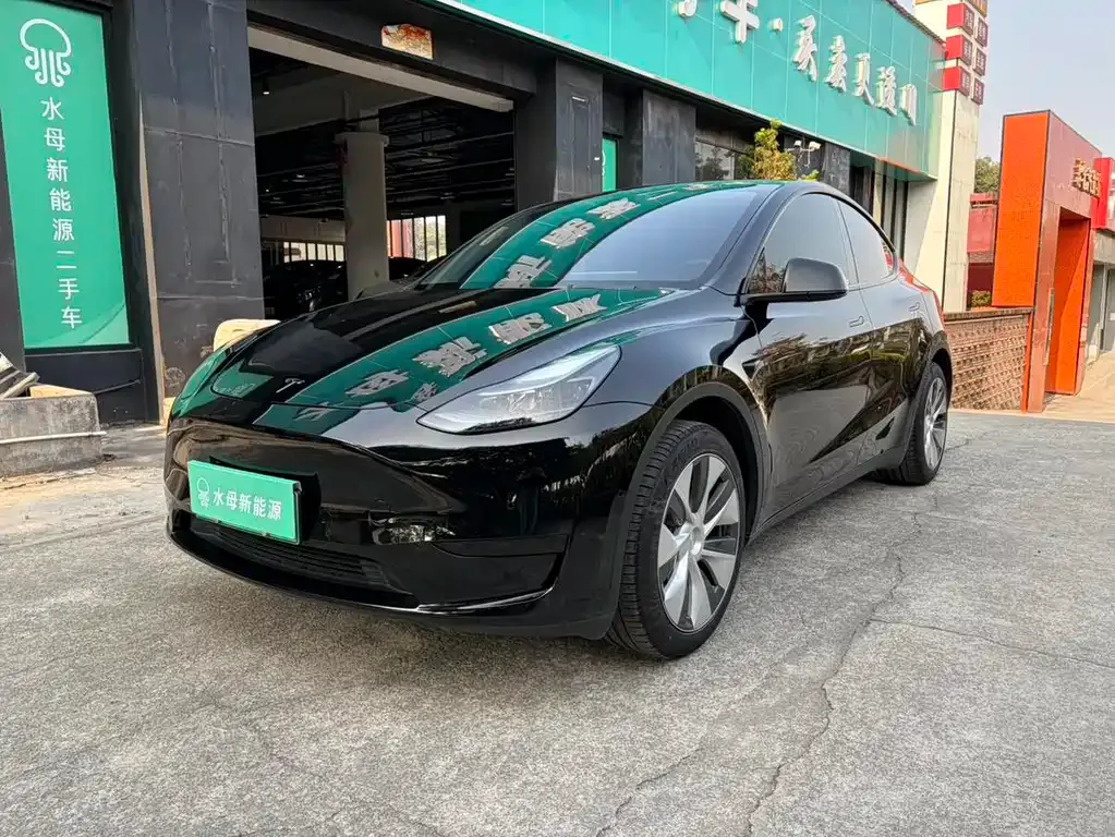 Tesla Model Y — фото 1