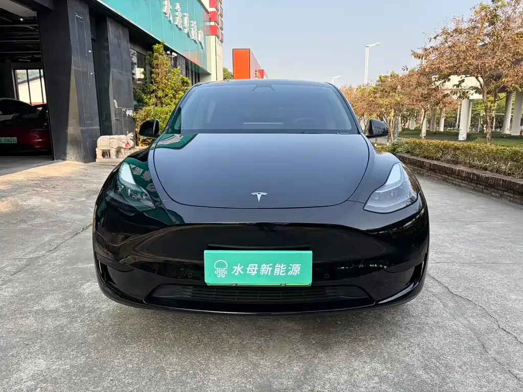 Tesla Model Y — фото 6