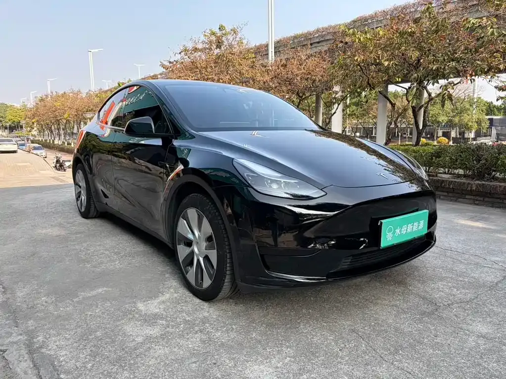 Tesla Model Y — фото 7