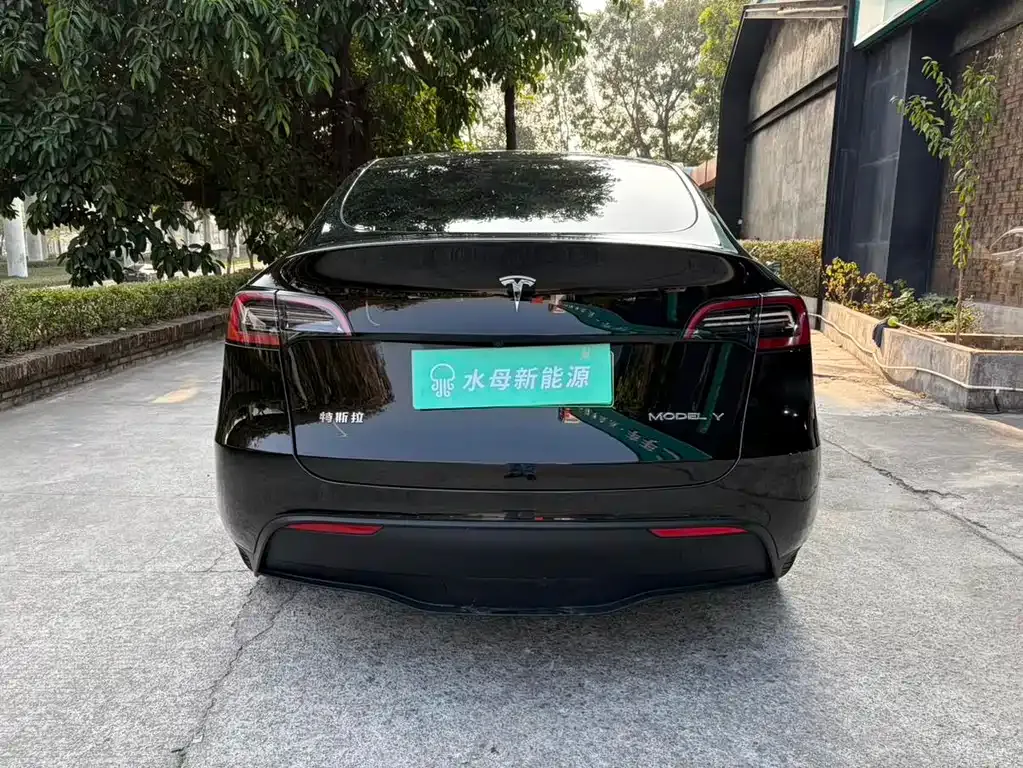 Tesla Model Y — фото 8