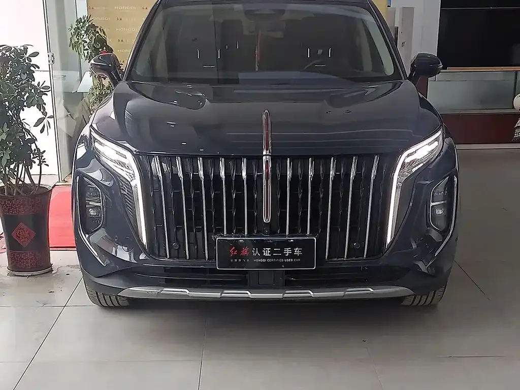 Hongqi HS7 2023 из CN, фото 3