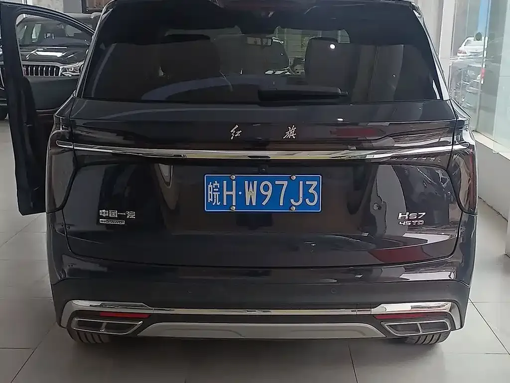 Hongqi HS7 2023 из CN, фото 9