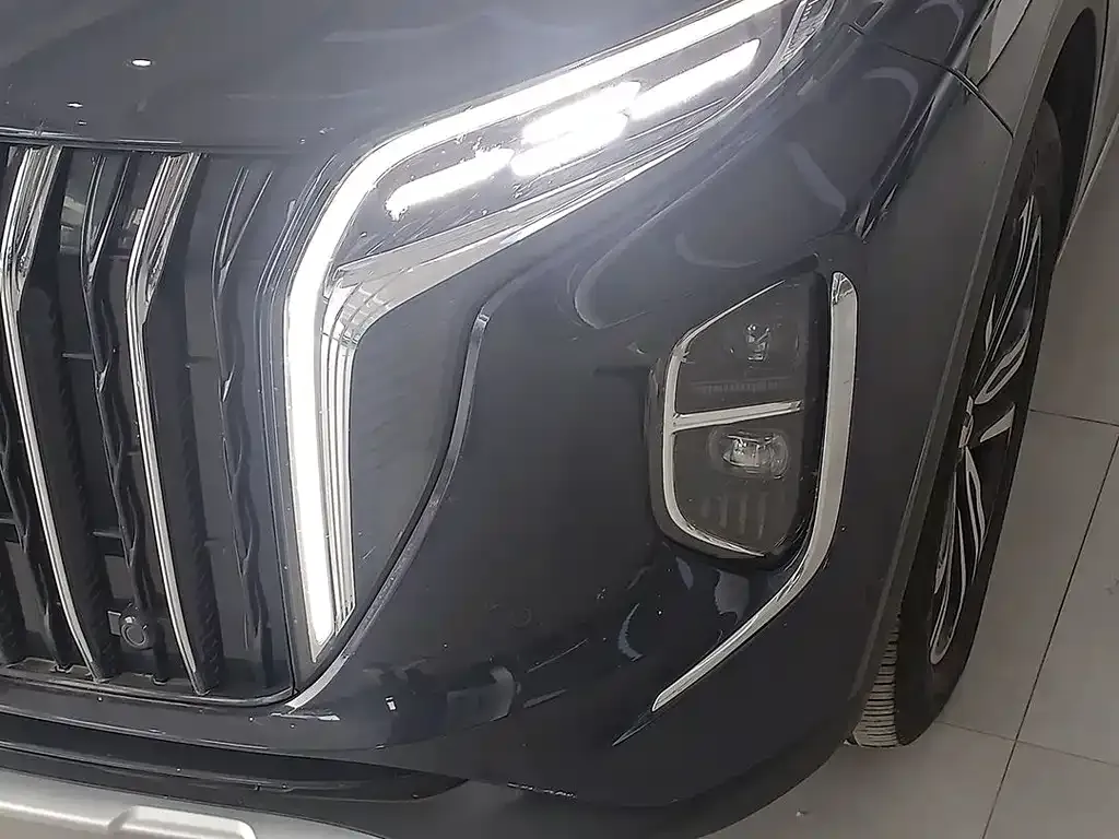 Hongqi HS7 2023 из CN, фото 2