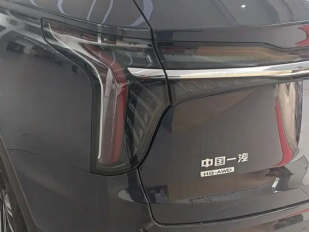 Hongqi HS7 2023 из CN, фото 10