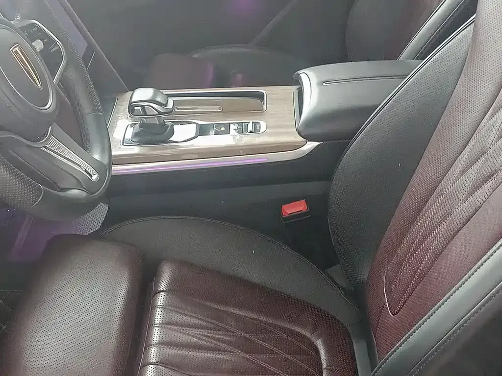 Hongqi HS7 2023 из CN, фото 6