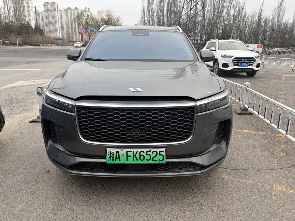 Li Auto Li ONE 2022 из CN, фото 1