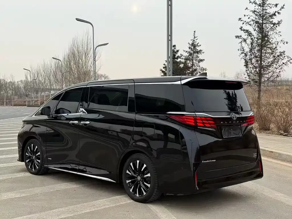 Toyota Alphard 2024 из CN, фото 10
