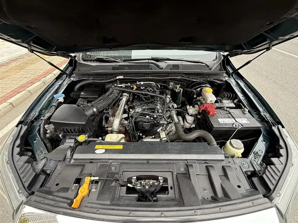 Dongfeng Rich 6 2022 из CN, фото 6